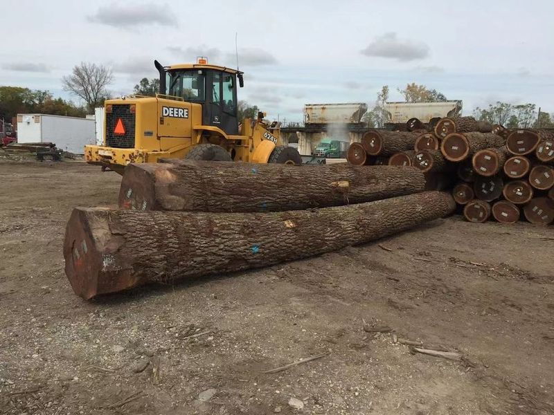 چین Dongguan Yinghui Wood Industry Co., Ltd. نمایه شرکت