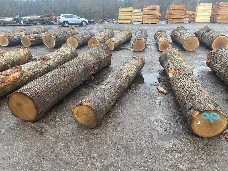چین Dongguan Yinghui Wood Industry Co., Ltd. نمایه شرکت