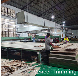 Dongguan Yinghui Wood Industry Co., Ltd. خط تولید سازنده