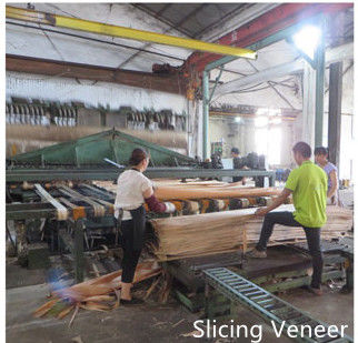 Dongguan Yinghui Wood Industry Co., Ltd. خط تولید سازنده
